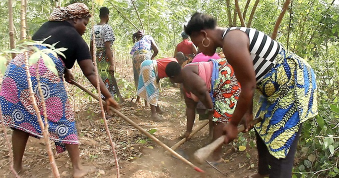 Mujeres que limpian la vegetación seca y construyen cortafuegos para reducir los riesgos de incendios forestales.