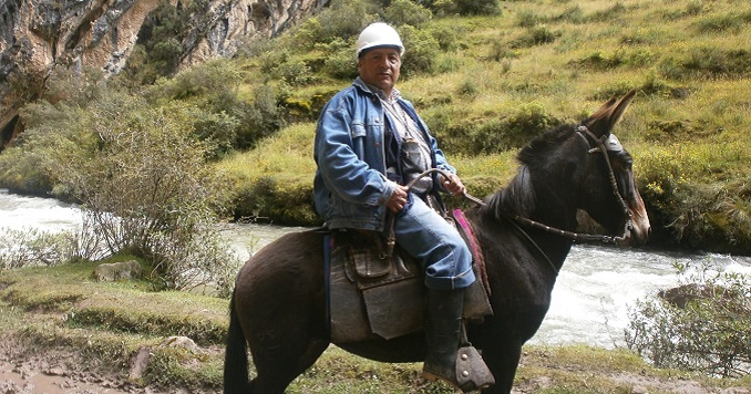 A man wearing a hard hat and a denim jacket on a mule next to a river in Peru