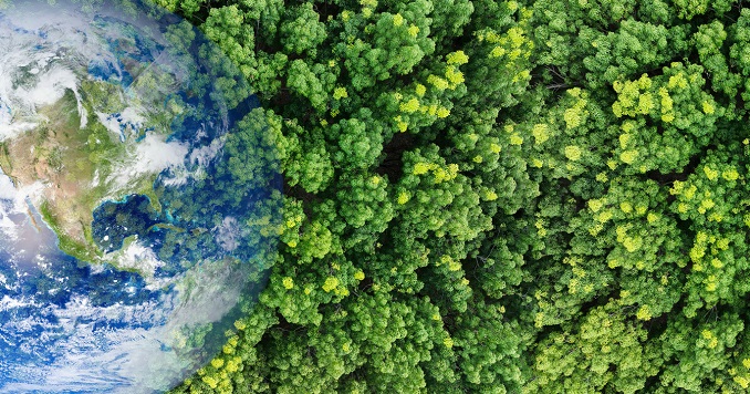 Aerial perspective of the globe merging with a forest.