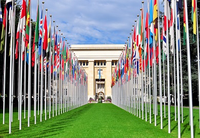 Two rows of flags line a green path to a yellow building.