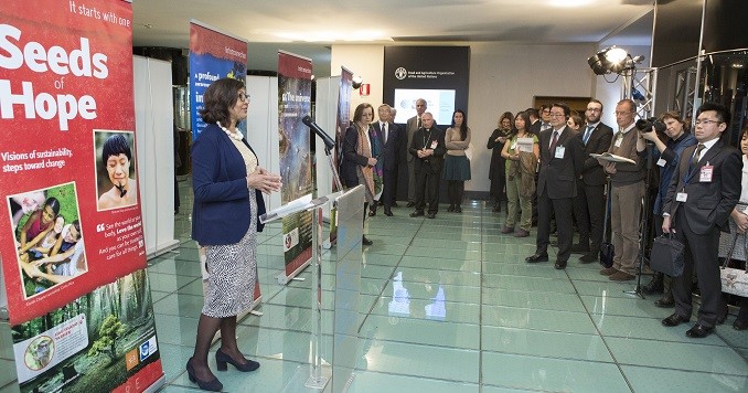 People viewing the “Seeds of Hope” exhibition