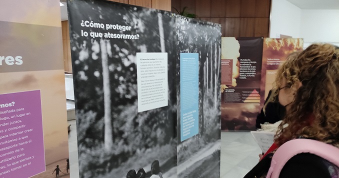 Una mujer observa un panel de la exposición